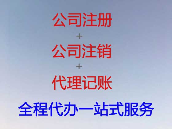 安阳公司注册服务